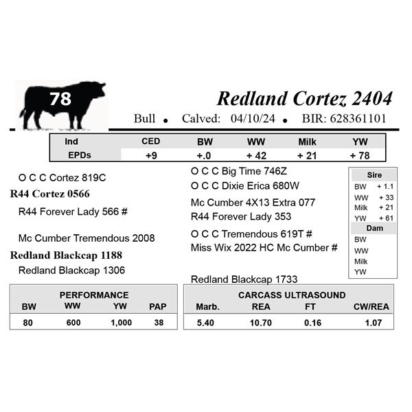 Redland Cortez 2404
