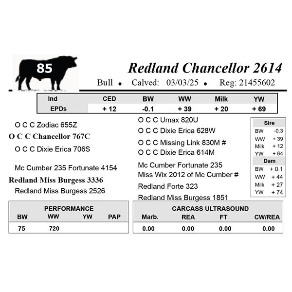 Redland Chancellor 2614