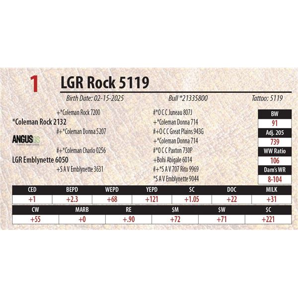 LGR Rock 5119