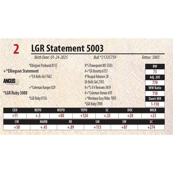 LGR Statement 5003