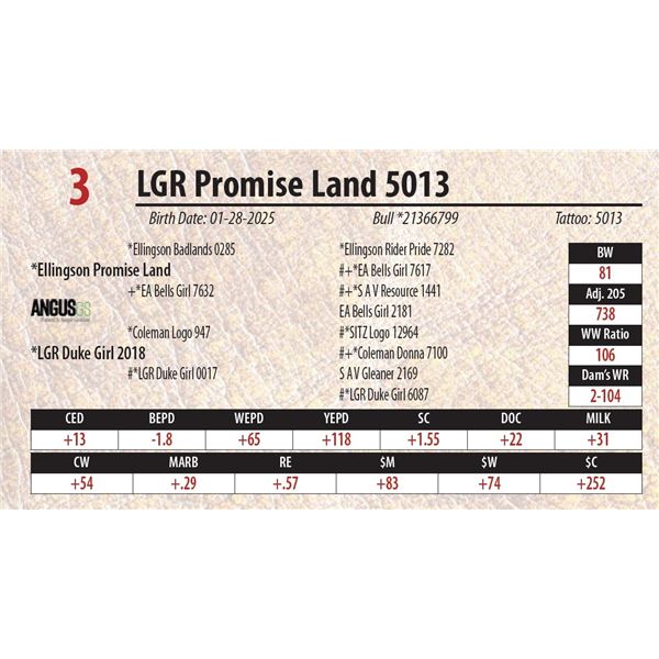 LGR Promise Land 5013
