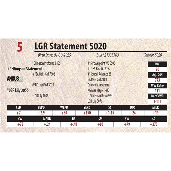 LGR Statement 5020