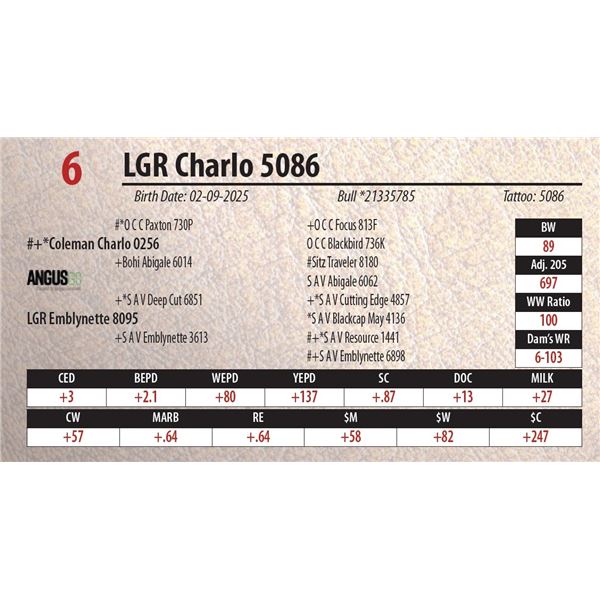 LGR Charlo 5086