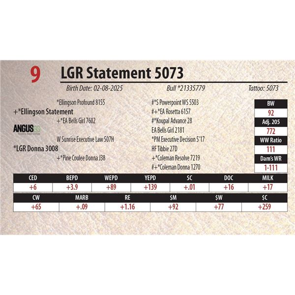 LGR Statement 5073