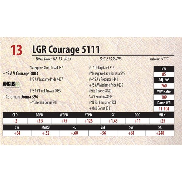 LGR Courage 5111