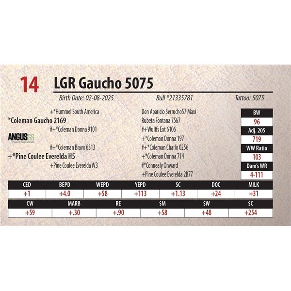 LGR Gaucho 5075