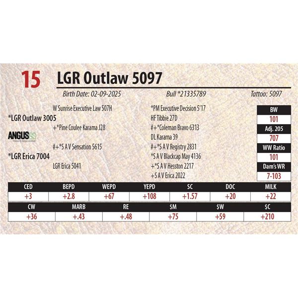 LGR Outlaw 5097