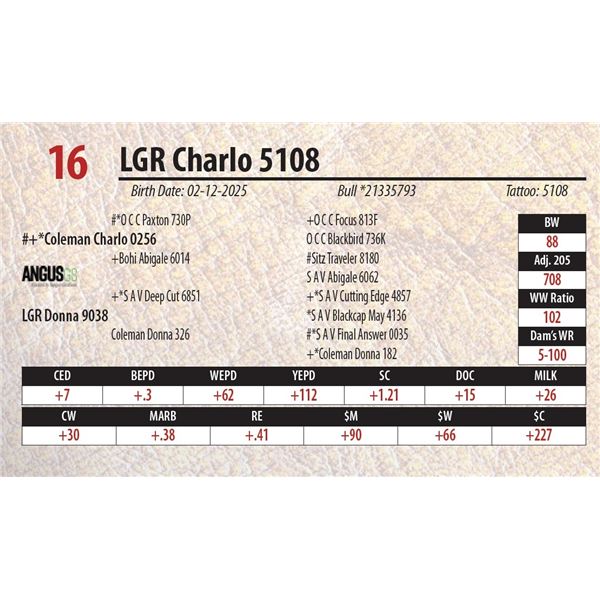 LGR Charlo 5108
