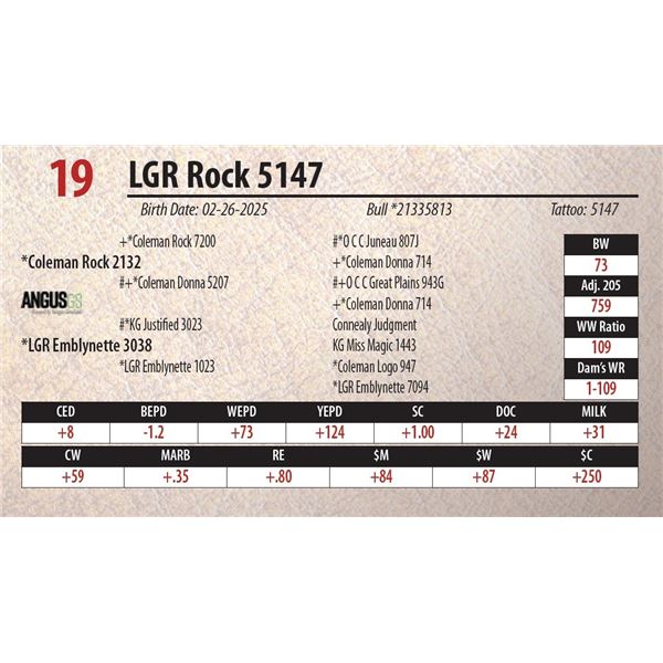 LGR Rock 5147