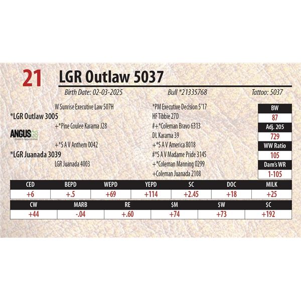 LGR Outlaw 5037