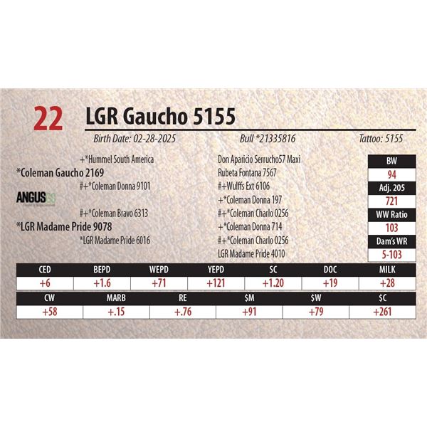 LGR Gaucho 5155