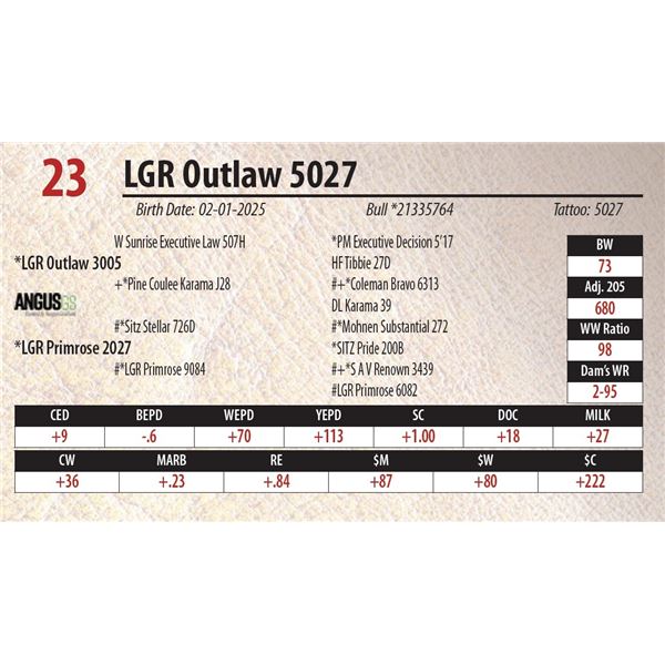 LGR Outlaw 5027