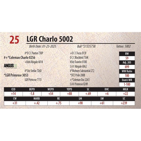 LGR Charlo 5002