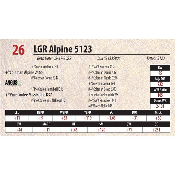 LGR Alpine 5123