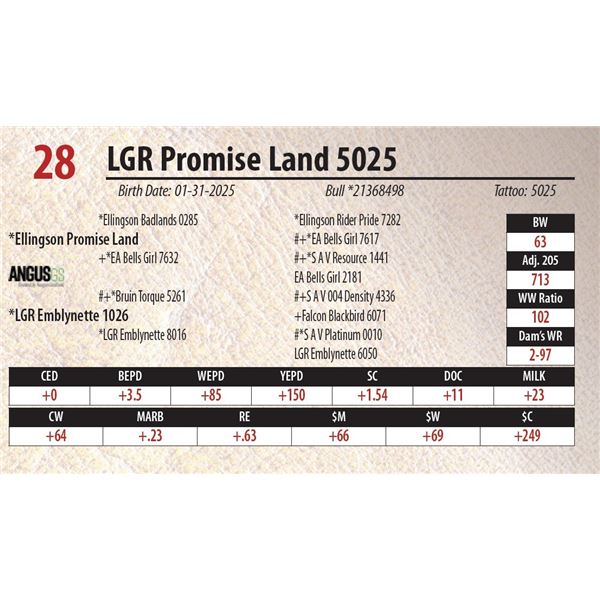 LGR Promise Land 5025
