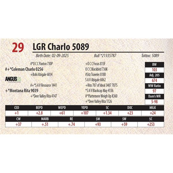 LGR Charlo 5089