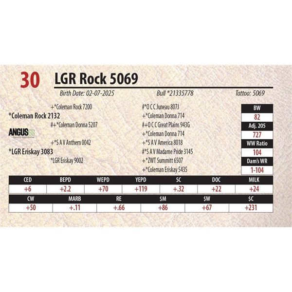 LGR Rock 5069
