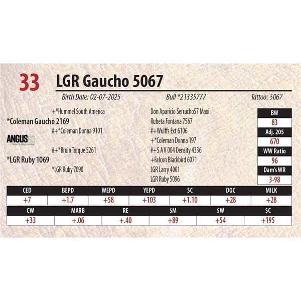 LGR Gaucho 5067