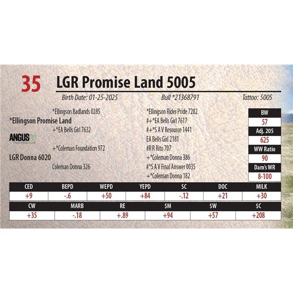 LGR Promise Land 5005