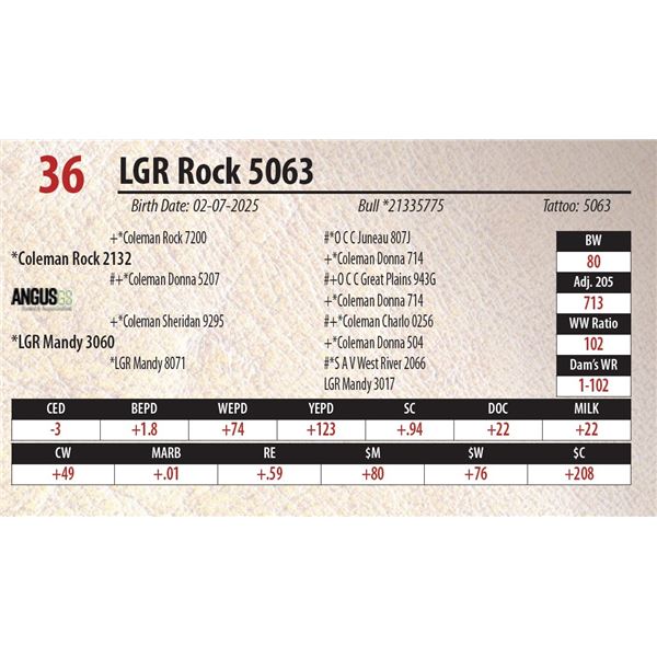 LGR Rock 5063
