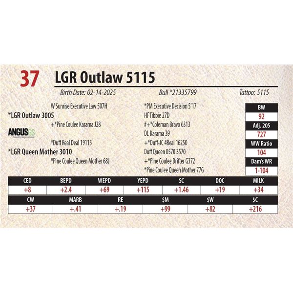LGR Outlaw 5115
