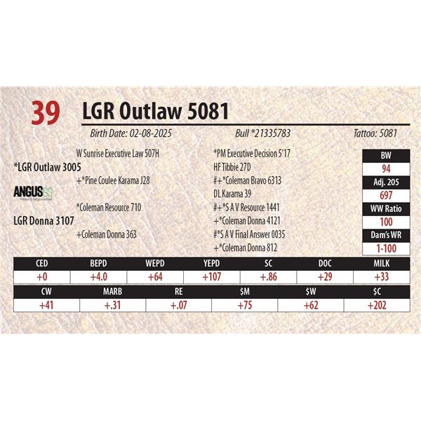 LGR Outlaw 5081