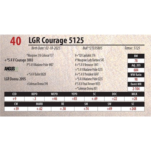 LGR Courage 5125