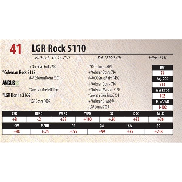 LGR Rock 5110