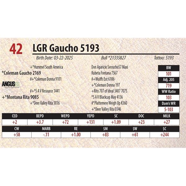 LGR Gaucho 5193