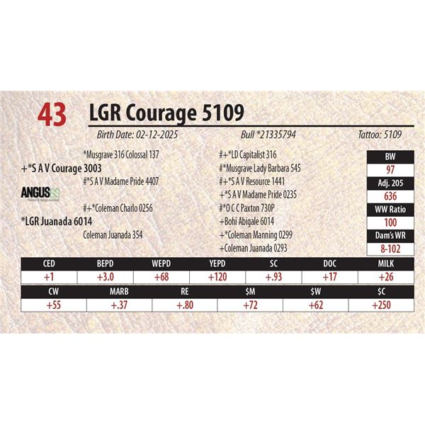 LGR Courage 5109