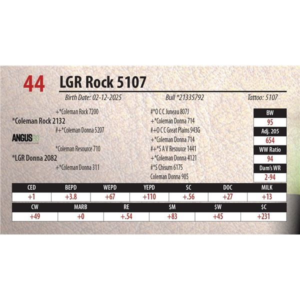 LGR Rock 5107