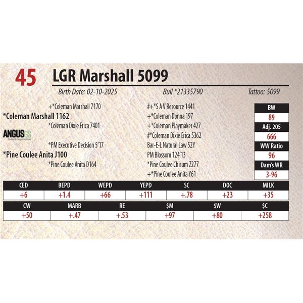 LGR Marshall 5099