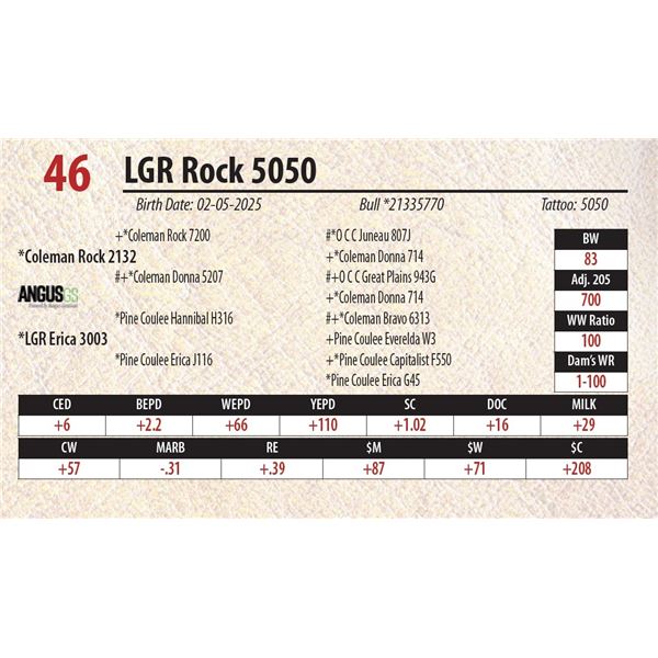 LGR Rock 5050