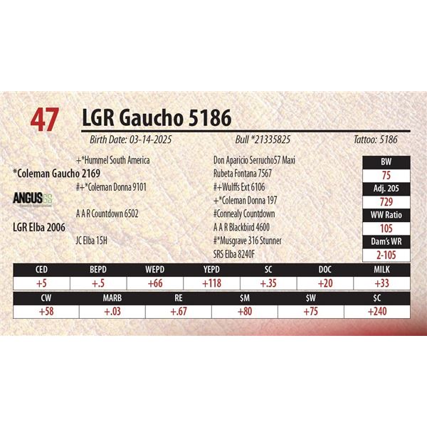 LGR Gaucho 5186