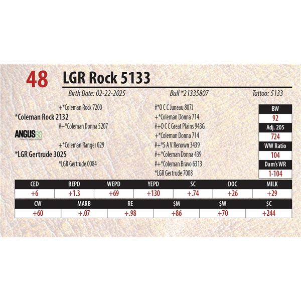 LGR Rock 5133
