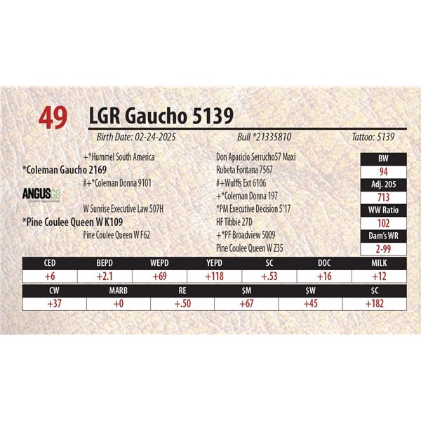 LGR Gaucho 5139