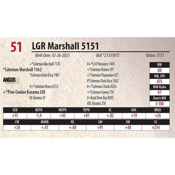 LGR Marshall 5151