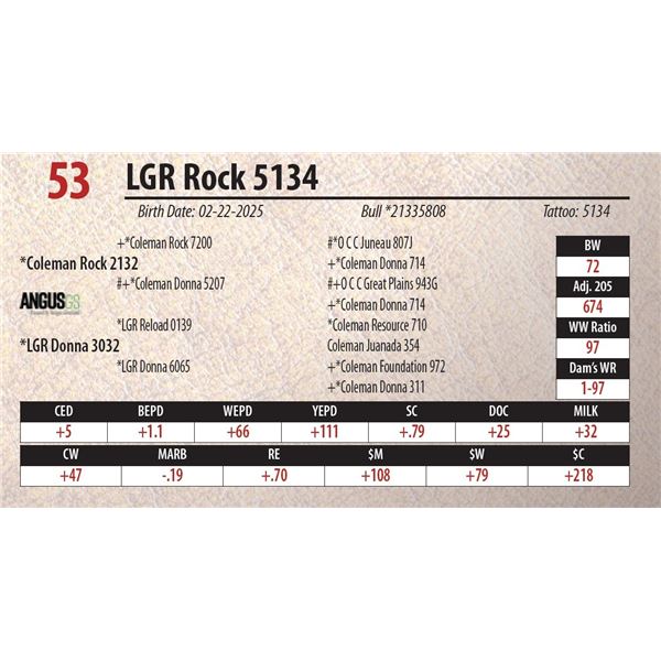 LGR Rock 5134
