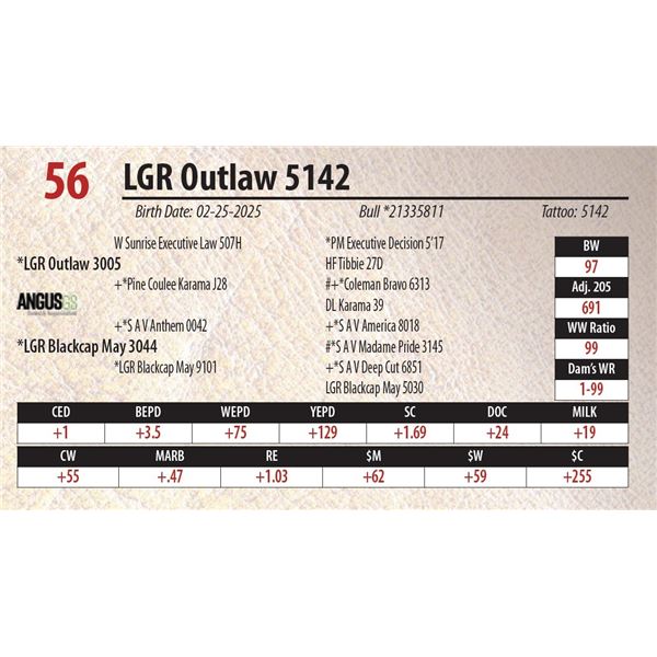 LGR Outlaw 5142
