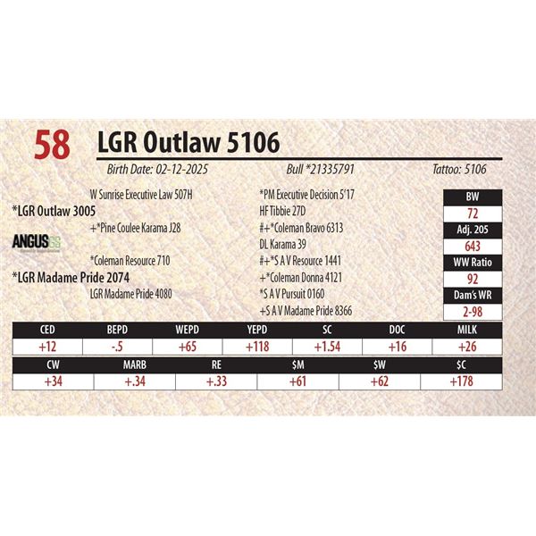 LGR Outlaw 5106