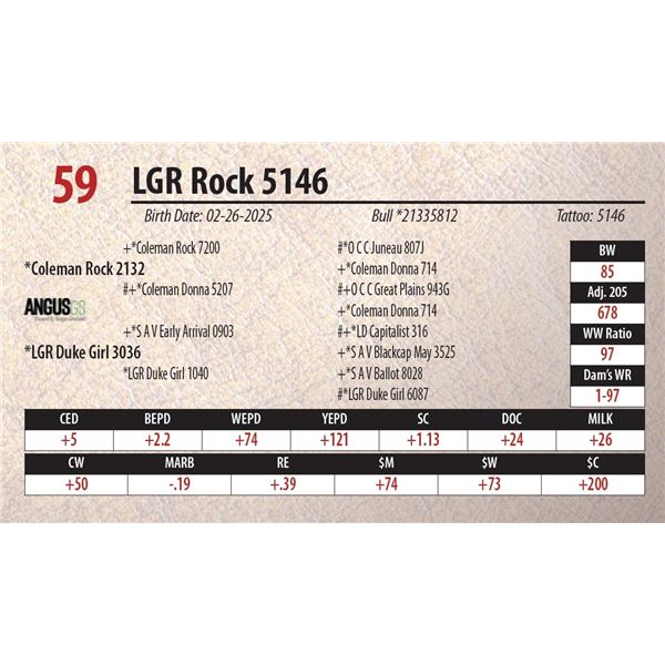 LGR Rock 5146