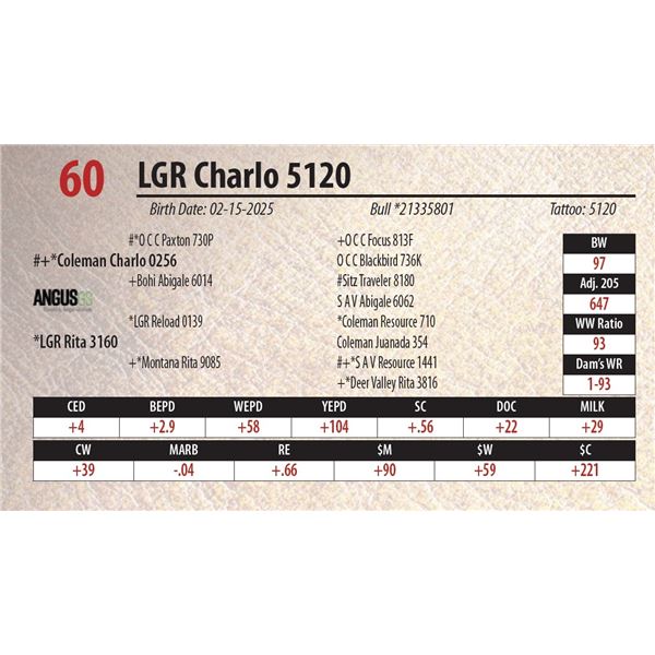 LGR Charlo 5120