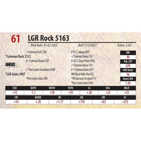 LGR Rock 5163