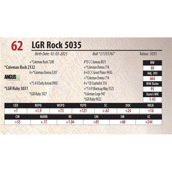 LGR Rock 5035