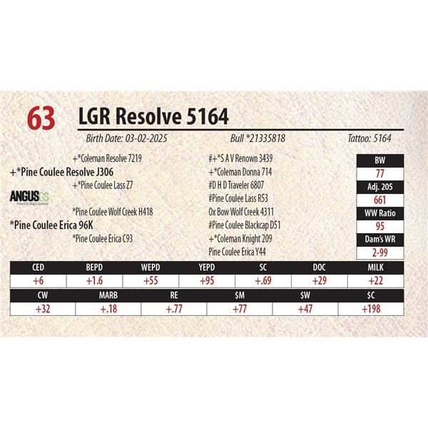 LGR Resolve 5164
