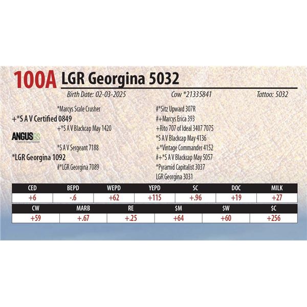LGR Georgina 5032
