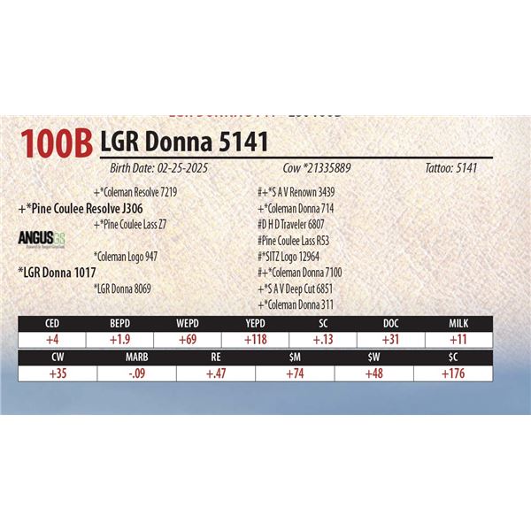 LGR Donna 5141