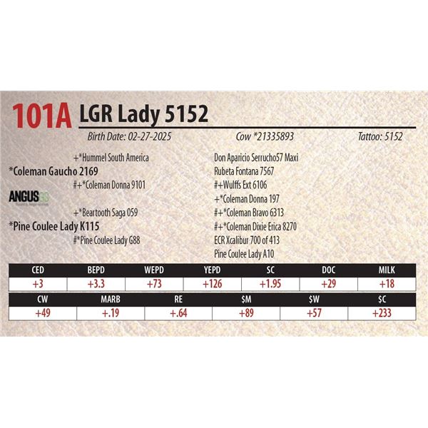 LGR Lady 5152
