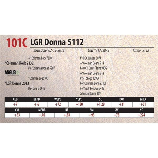 LGR Donna 5112