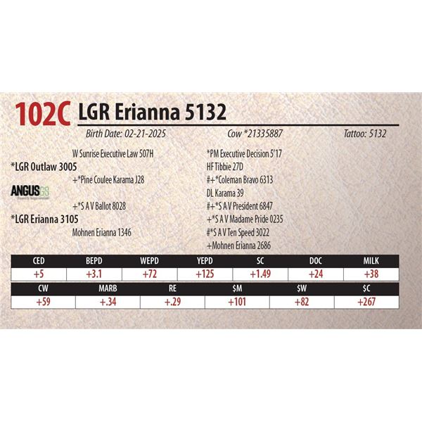 LGR Erianna 5132
